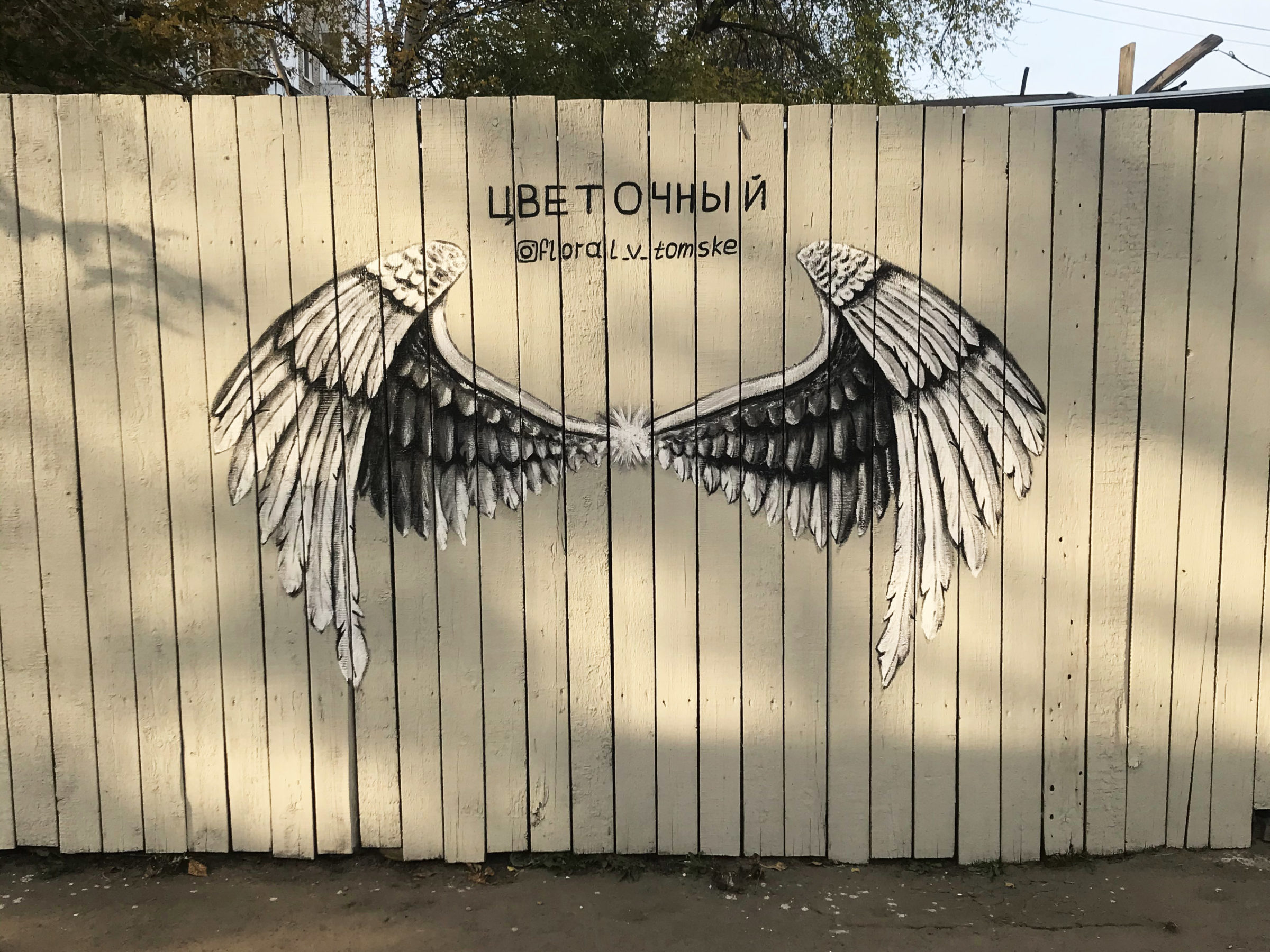 Крылья на стене граффити